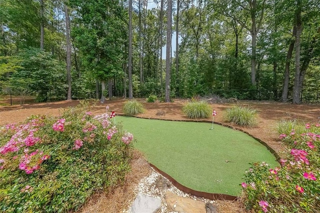 265 Enfield Ln, Mcdonough, GA 30252 - view of yard with a putting green