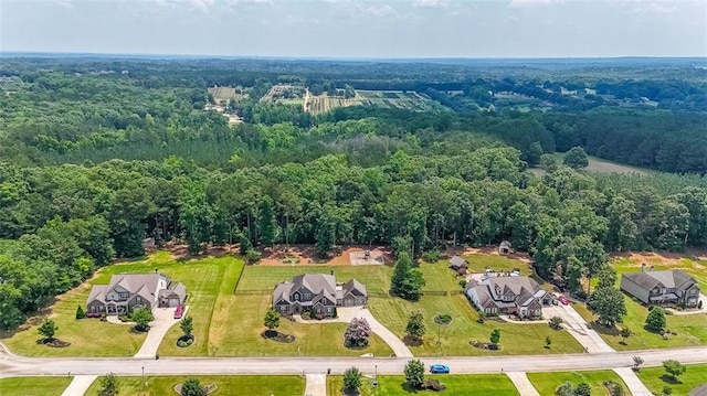 265 Enfield Ln, Mcdonough, GA 30252 - aerial view of a forest