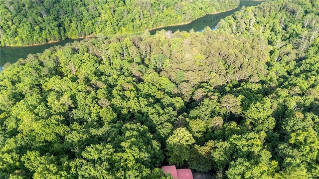 2374 Woodring Branch Rd, Chatsworth, GA 30705 - view of property location with a forest