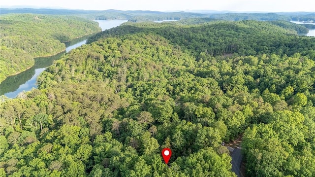 2374 Woodring Branch Rd, Chatsworth, GA 30705 - view of property location featuring a large body of water and a heavily wooded area