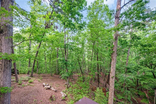 2374 Woodring Branch Rd, Chatsworth, GA 30705 - view of yard featuring a forest view