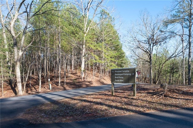 2374 Woodring Branch Rd, Chatsworth, GA 30705 - view of road with a forest view