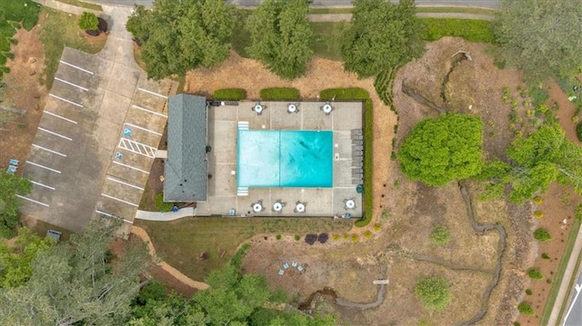 bird's eye view