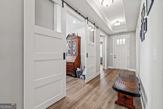 123 Rabun Ct, Hoschton, GA 30548 - foyer with a barn door, a tray ceiling, and light wood finished floors
