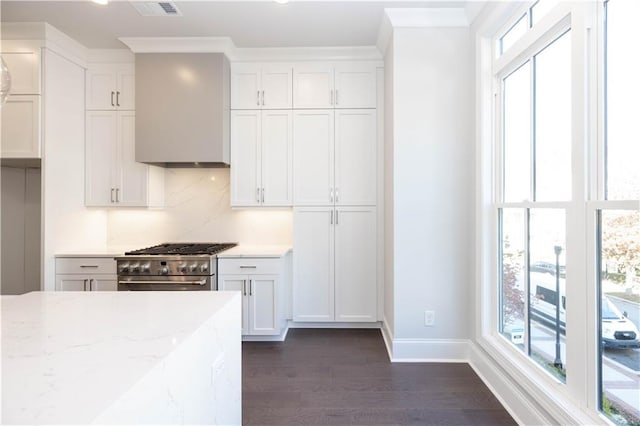 kitchen featuring plenty of natural light, dark hardwood / wood-style flooring, light stone countertops, and high end range