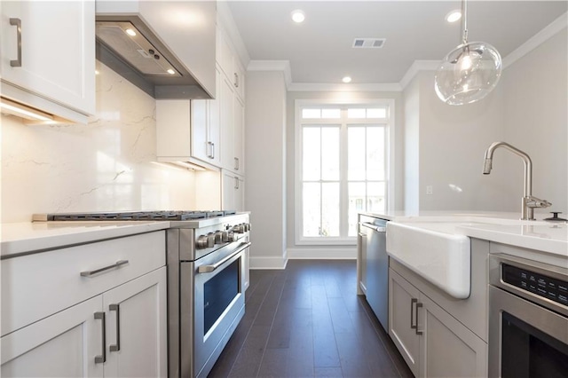 kitchen featuring white cabinets, custom exhaust hood, stainless steel appliances, and a wealth of natural light