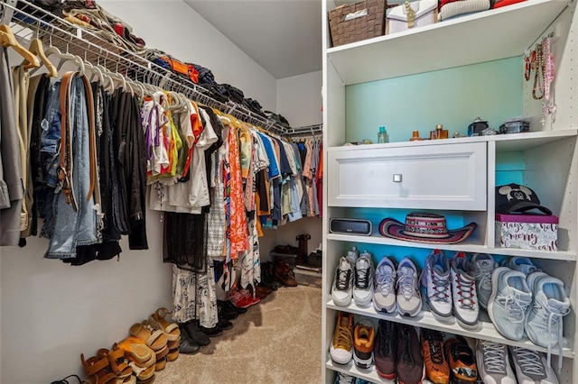 spacious closet with carpet