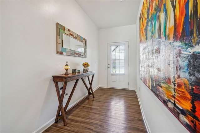 entryway featuring dark hardwood / wood-style flooring