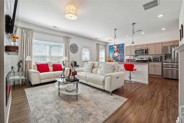 living room featuring sink and dark hardwood / wood-style flooring