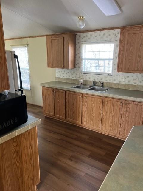 kitchen featuring plenty of natural light, dark hardwood / wood-style floors, sink, and decorative backsplash