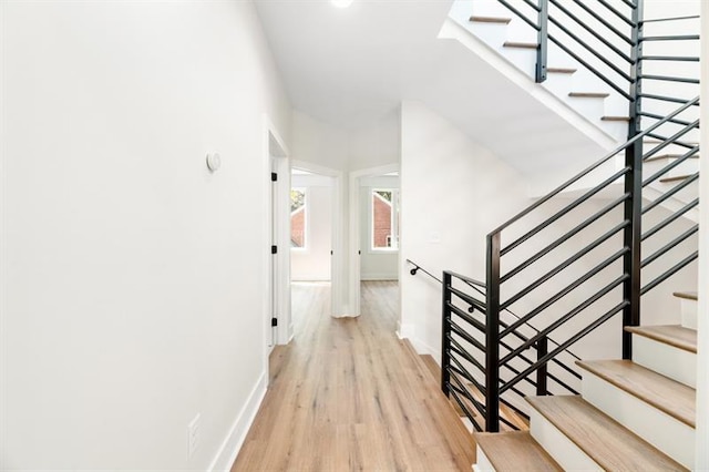 stairway with wood-type flooring