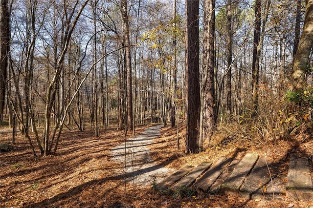 9129 Selborne Ln, Chattahoochee Hills, GA 30268 - view of road