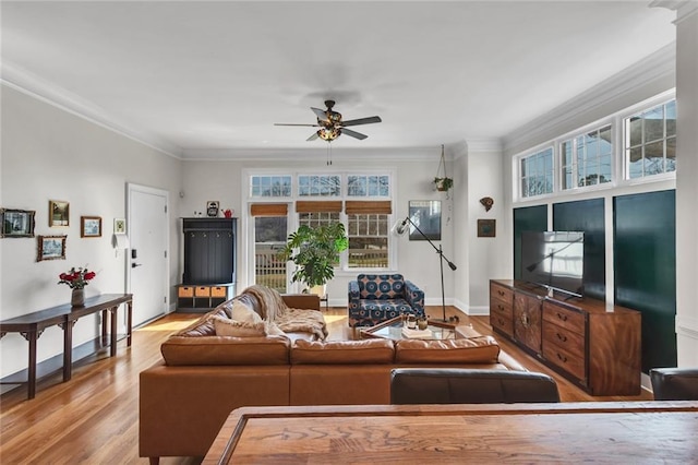 living room with ceiling fan, baseboards, crown molding, and wood finished floors