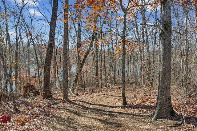 view of landscape with a view of trees