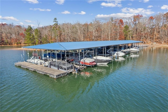 view of dock featuring a water view, boat lift, and a view of trees