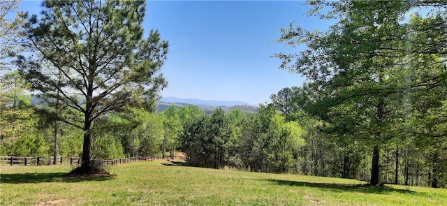 1251 Bar T Ranch Rd, Talking Rock, GA 30175 - view of local wilderness