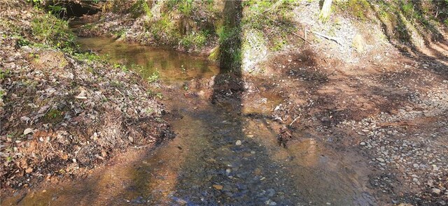 1251 Bar T Ranch Rd, Talking Rock, GA 30175 - view of landscape