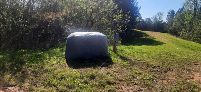 1251 Bar T Ranch Rd, Talking Rock, GA 30175 - view of yard