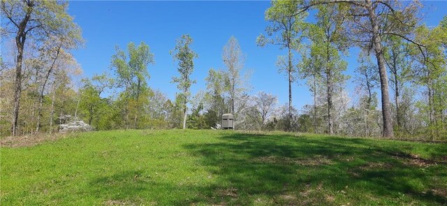1251 Bar T Ranch Rd, Talking Rock, GA 30175 - view of yard