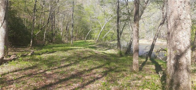 1251 Bar T Ranch Rd, Talking Rock, GA 30175 - view of landscape