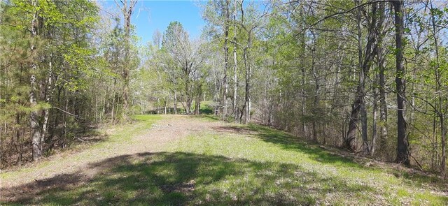 1251 Bar T Ranch Rd, Talking Rock, GA 30175 - view of yard