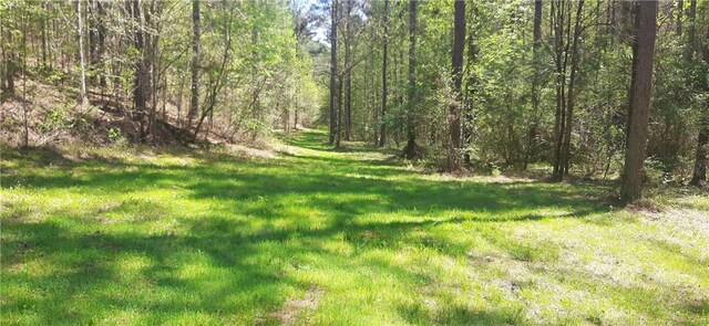 1251 Bar T Ranch Rd, Talking Rock, GA 30175 - view of landscape