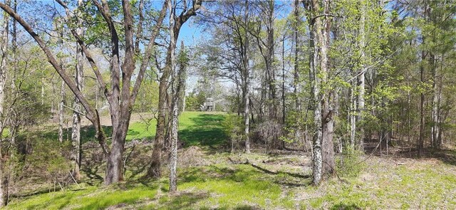 1251 Bar T Ranch Rd, Talking Rock, GA 30175 - view of local wilderness