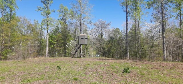 1251 Bar T Ranch Rd, Talking Rock, GA 30175 - view of yard