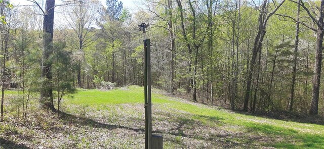 1251 Bar T Ranch Rd, Talking Rock, GA 30175 - view of nature