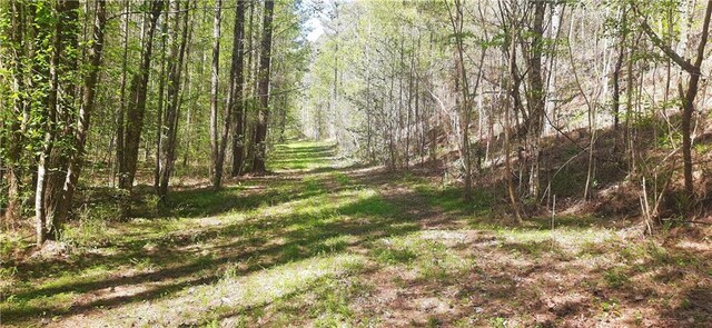 1251 Bar T Ranch Rd, Talking Rock, GA 30175 - view of local wilderness