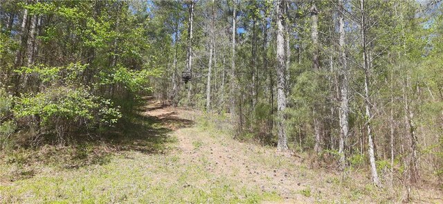 1251 Bar T Ranch Rd, Talking Rock, GA 30175 - view of landscape