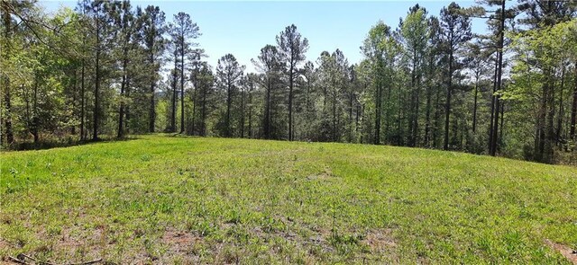 1251 Bar T Ranch Rd, Talking Rock, GA 30175 - view of yard