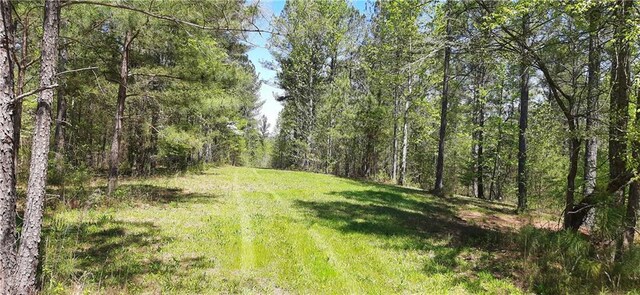 1251 Bar T Ranch Rd, Talking Rock, GA 30175 - view of yard
