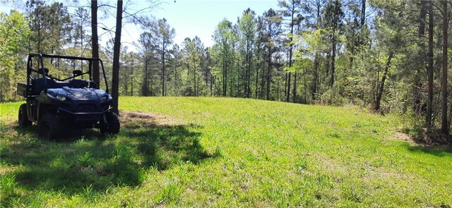 1251 Bar T Ranch Rd, Talking Rock, GA 30175 - view of yard