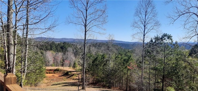 1251 Bar T Ranch Rd, Talking Rock, GA 30175 - property view of mountains