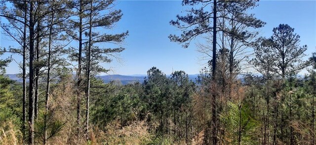 1251 Bar T Ranch Rd, Talking Rock, GA 30175 - view of landscape