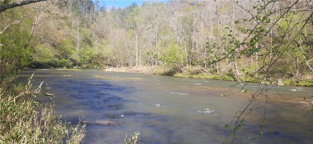 1251 Bar T Ranch Rd, Talking Rock, GA 30175 - property view of water