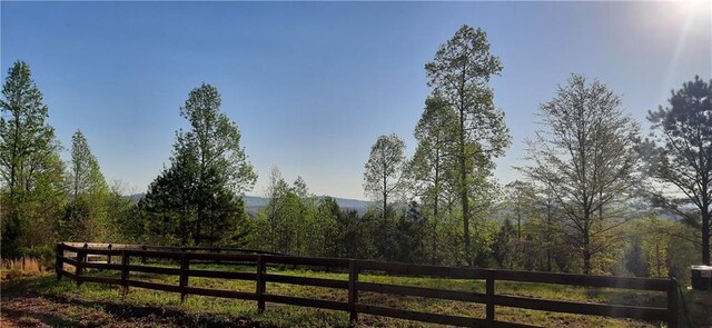 1251 Bar T Ranch Rd, Talking Rock, GA 30175 - view of gate