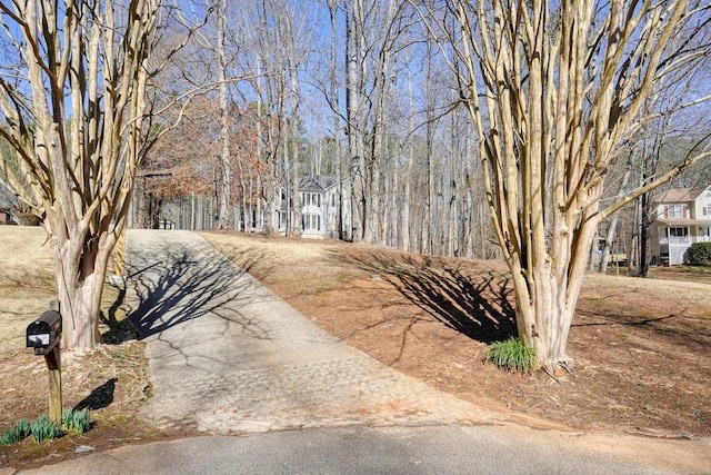 view of road featuring driveway