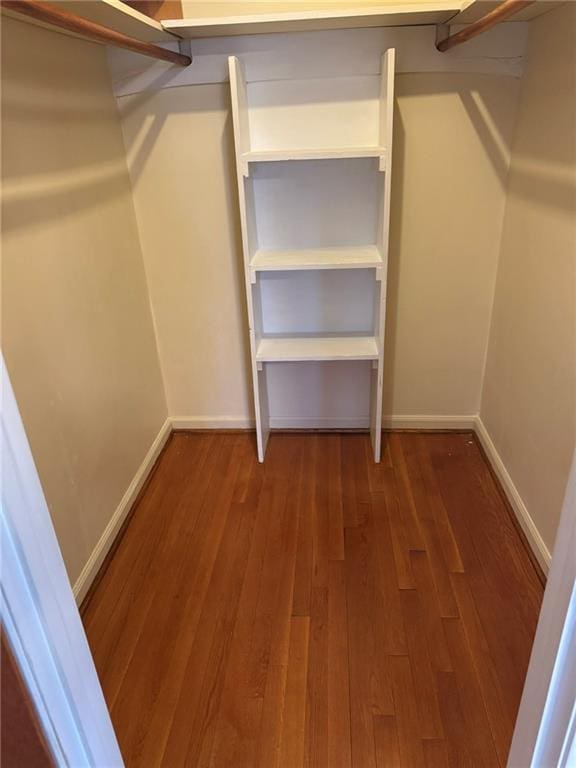 spacious closet with wood-type flooring