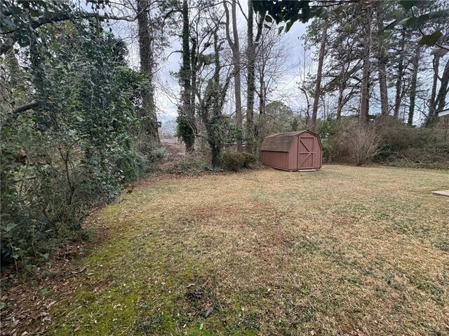 view of yard featuring a shed