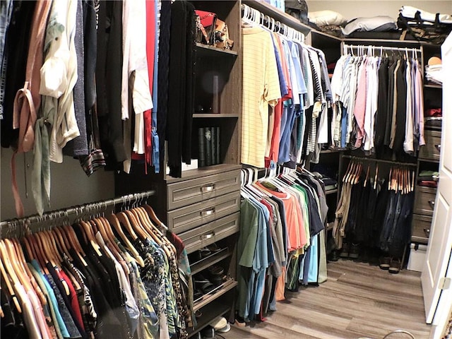spacious closet featuring wood finished floors