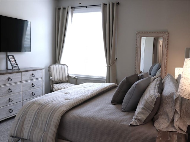 bedroom featuring multiple windows