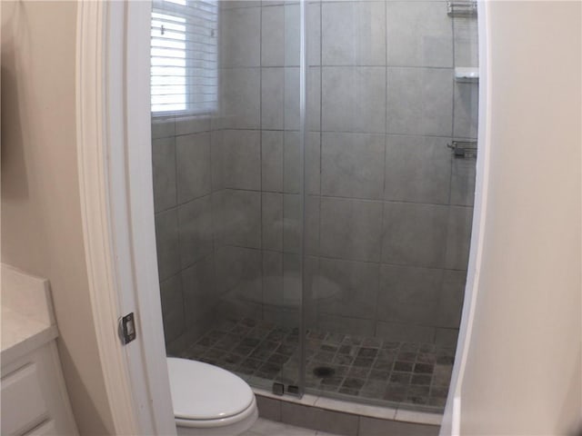 bathroom featuring vanity, toilet, and a stall shower