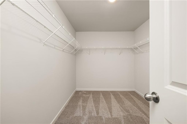 walk in closet with carpet