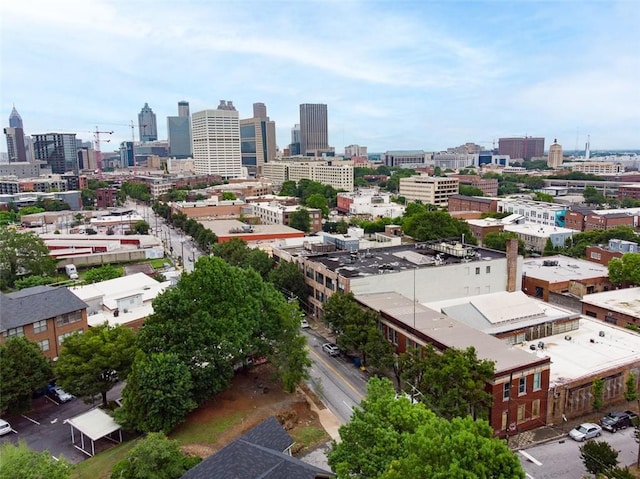 210 Walker St SW Unit 3, Atlanta, GA 30313 - skyline view