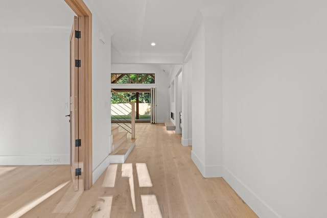 hallway with crown molding and light wood-type flooring