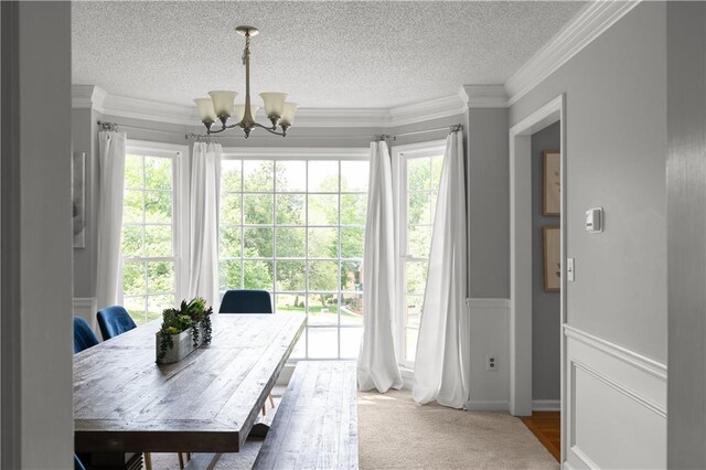 3075 Milford Chase SW, Marietta, GA 30008 - carpeted dining area featuring a chandelier, a textured ceiling, ornamental molding, and wainscoting