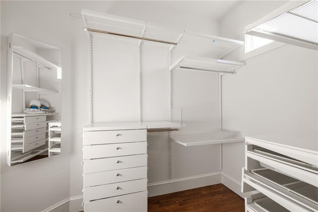 walk in closet featuring dark wood-style flooring