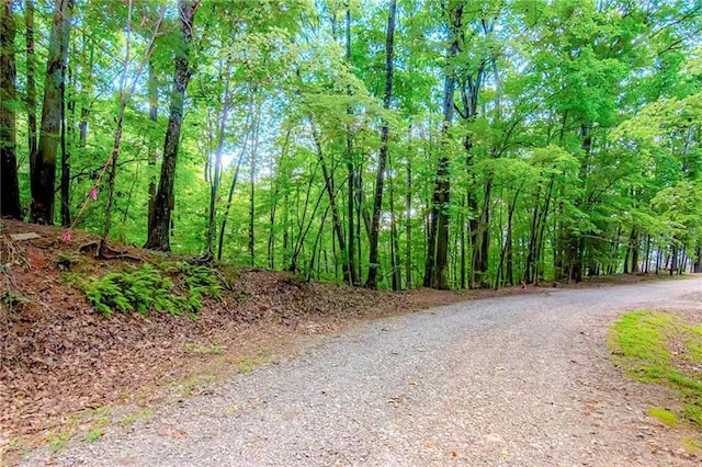 J349 Walnut Mtn, Ellijay GA, 30540 land for sale